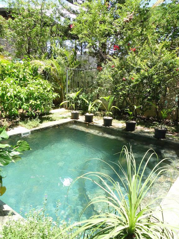 Ylang Baie-du-Tombeau