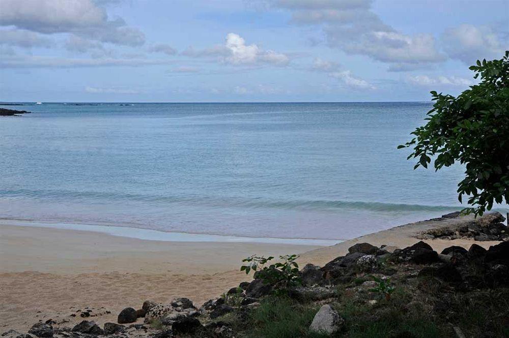 Flowers Of Paradise Pereybere Beach