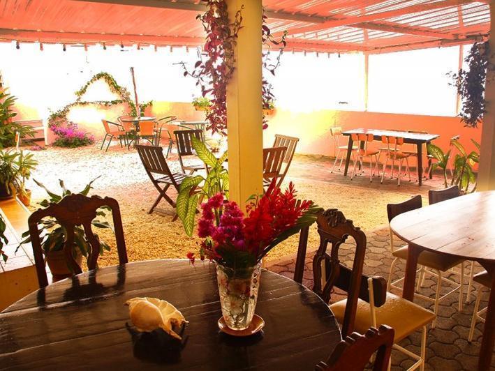 Le Cactus