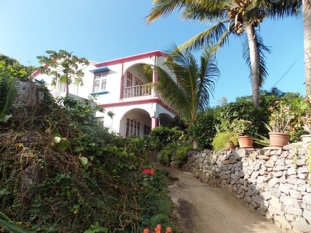 Guest house La Allamanda 3*