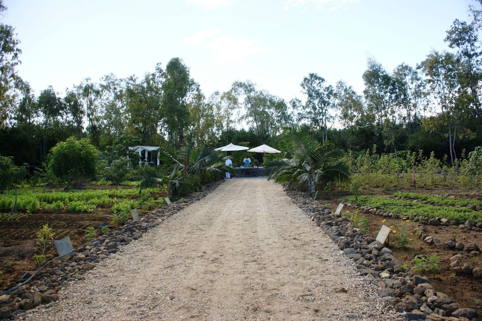 Resort Maradiva And Flic en Flac
