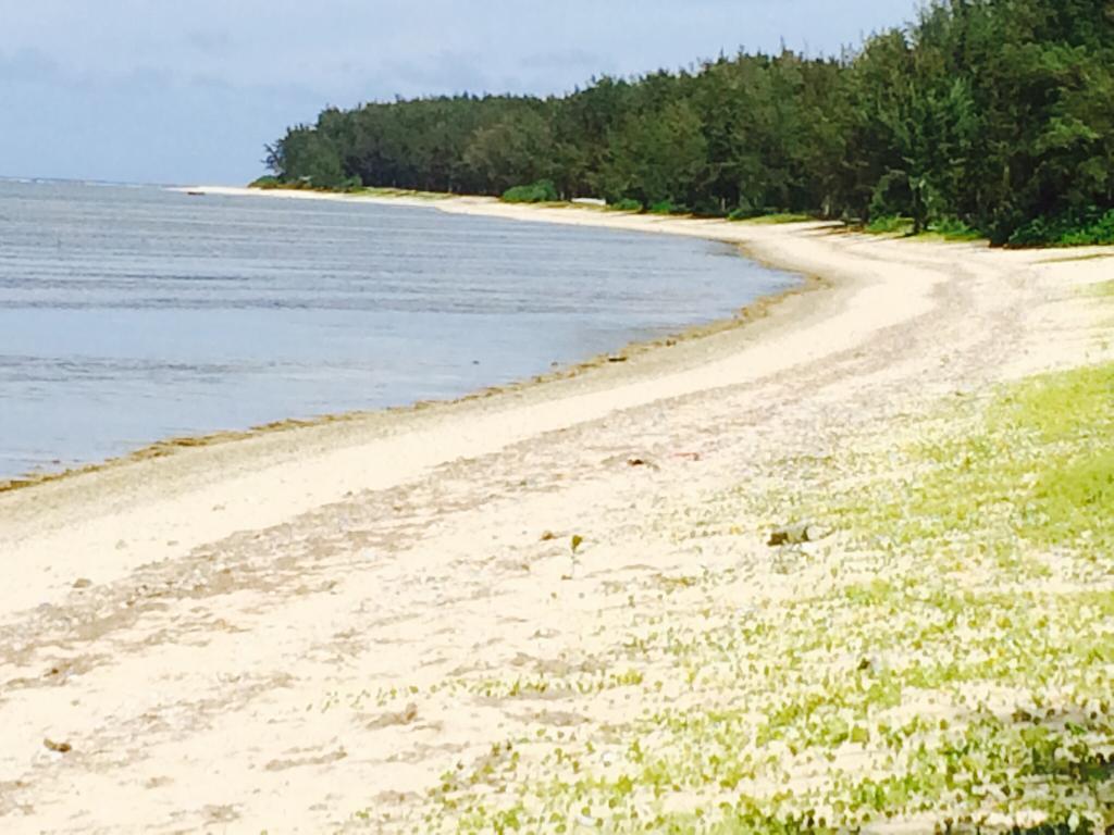 Beachfront Escale Du Sud Apartment Surinam