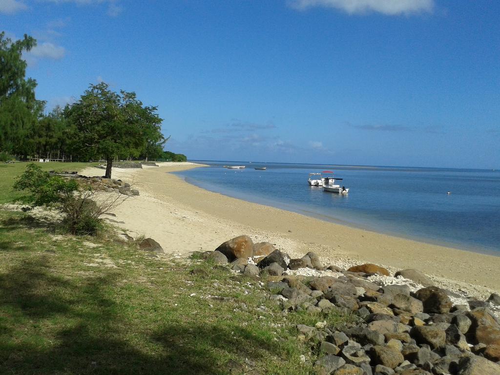 Salines