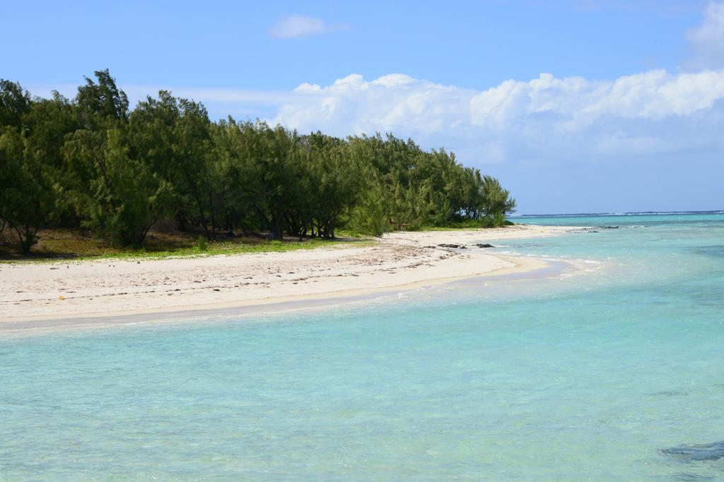 Calypso * Bel Ombre
