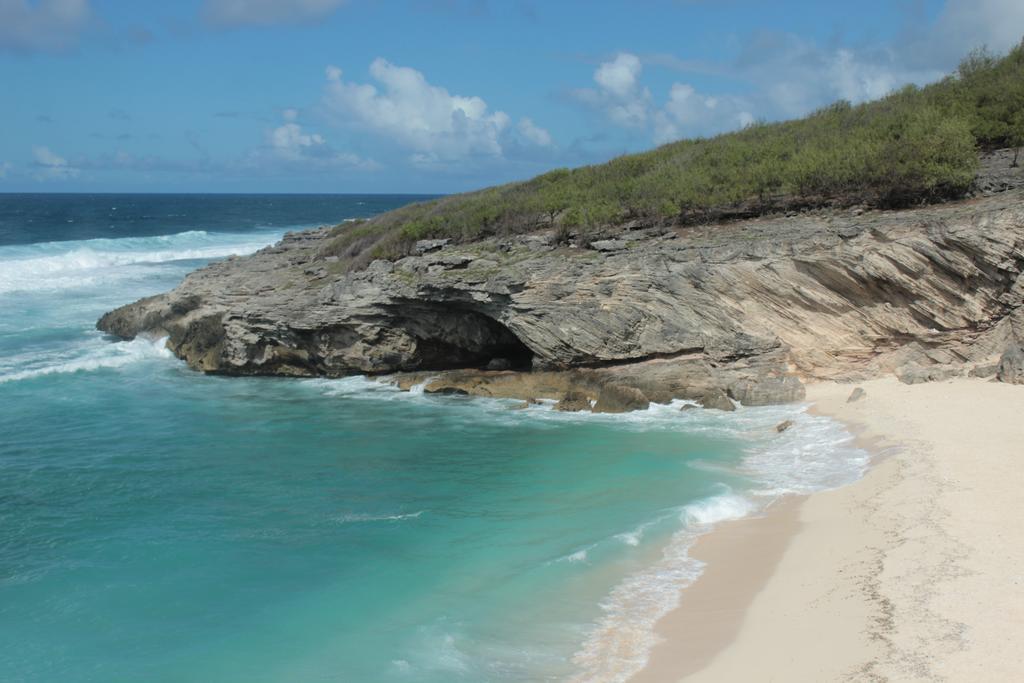 Reve Des Iles Gravier