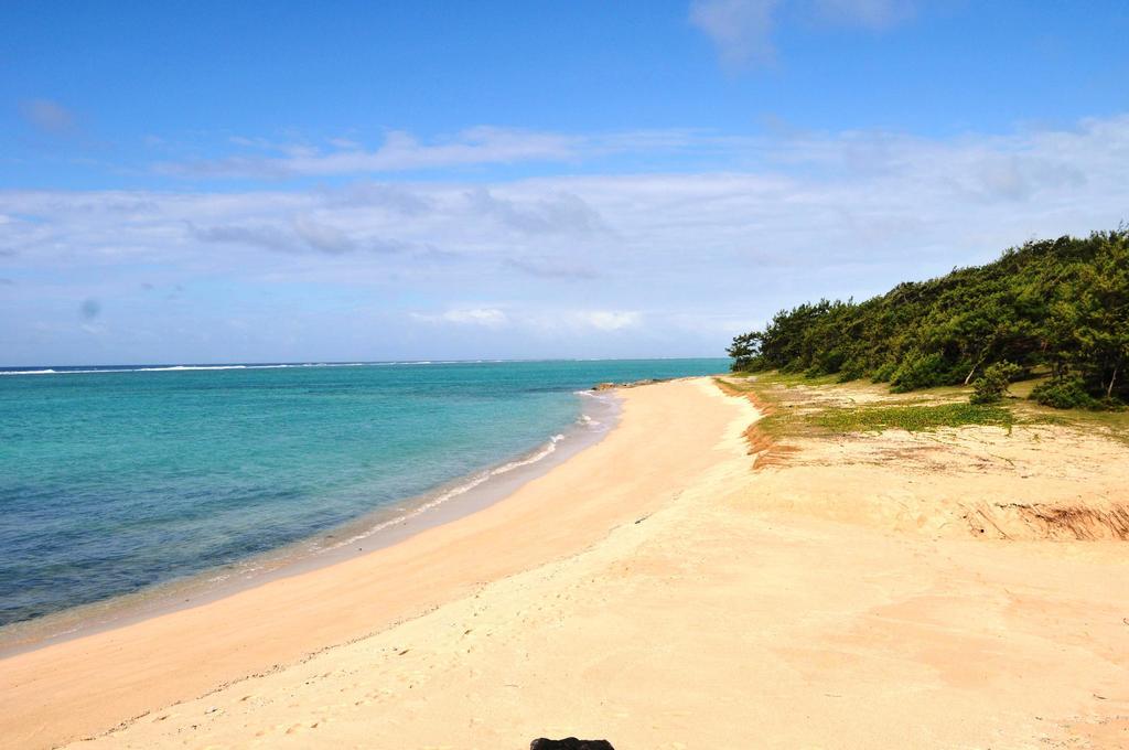 La Belle Rodriguaise Gravier