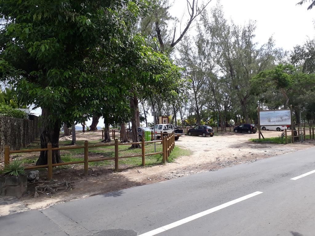 Allamanda - 100m