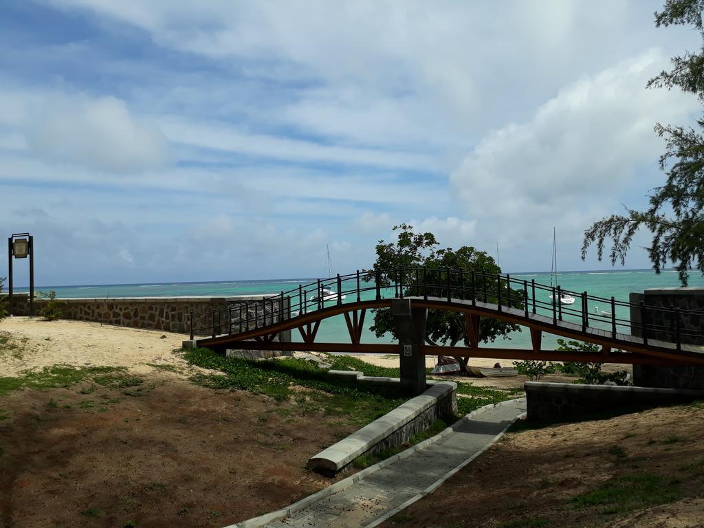 Allamanda - 100m