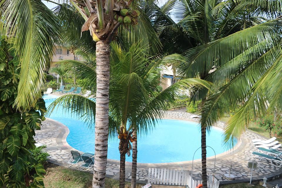 Apartamento Le Dattier -dreambeach