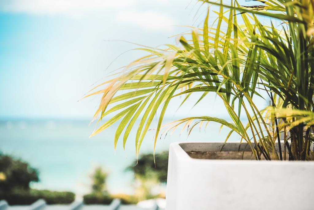 Cap Ouest Luxury Penthouse Apartment *