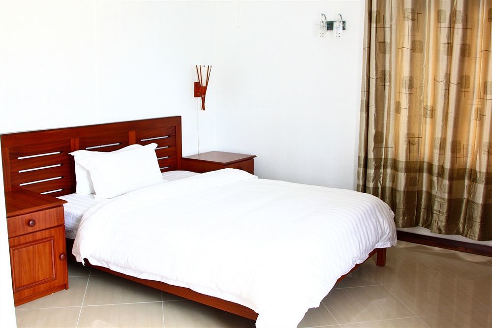 Orchid Mauritius *