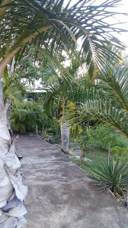 Bed & Breakfast Tigraviers *