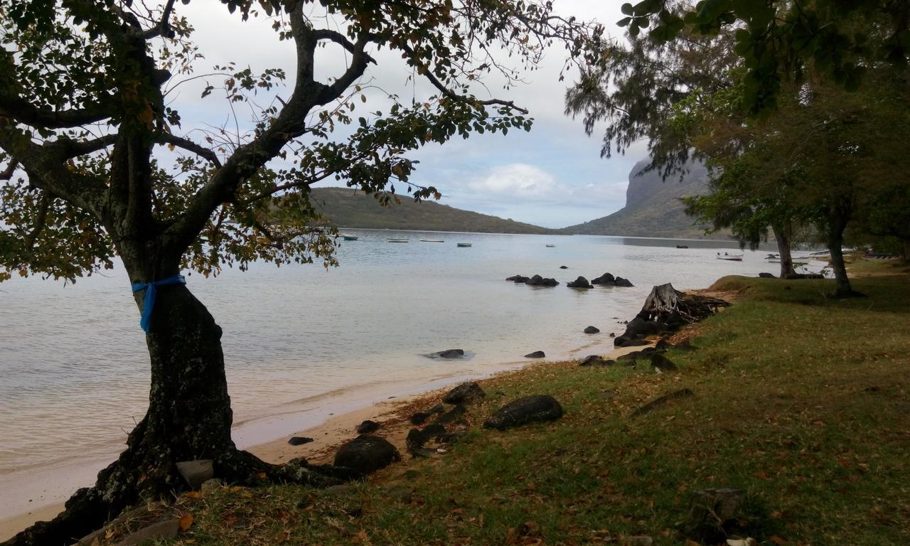 Apartment Ideal For Kite Surfer&family *