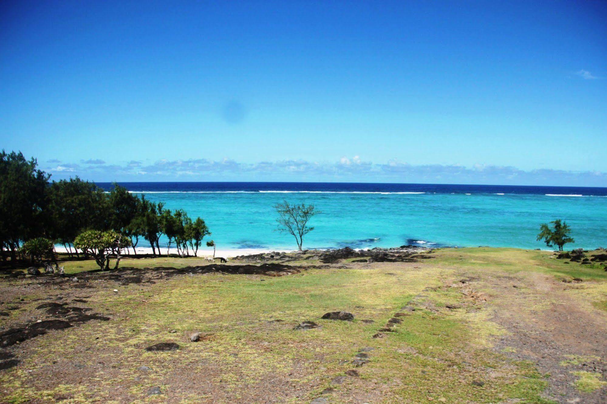 La Allamanda 3*