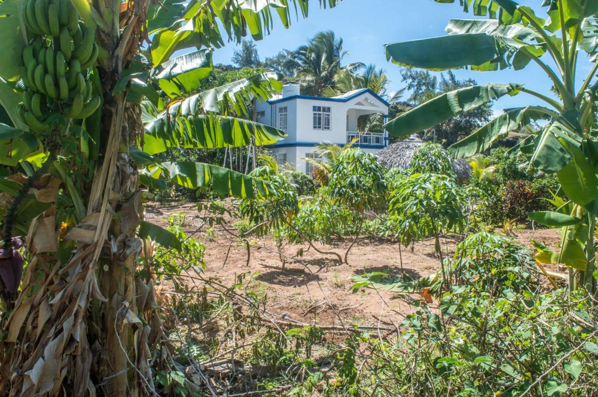 Guest house La Allamanda Gravier