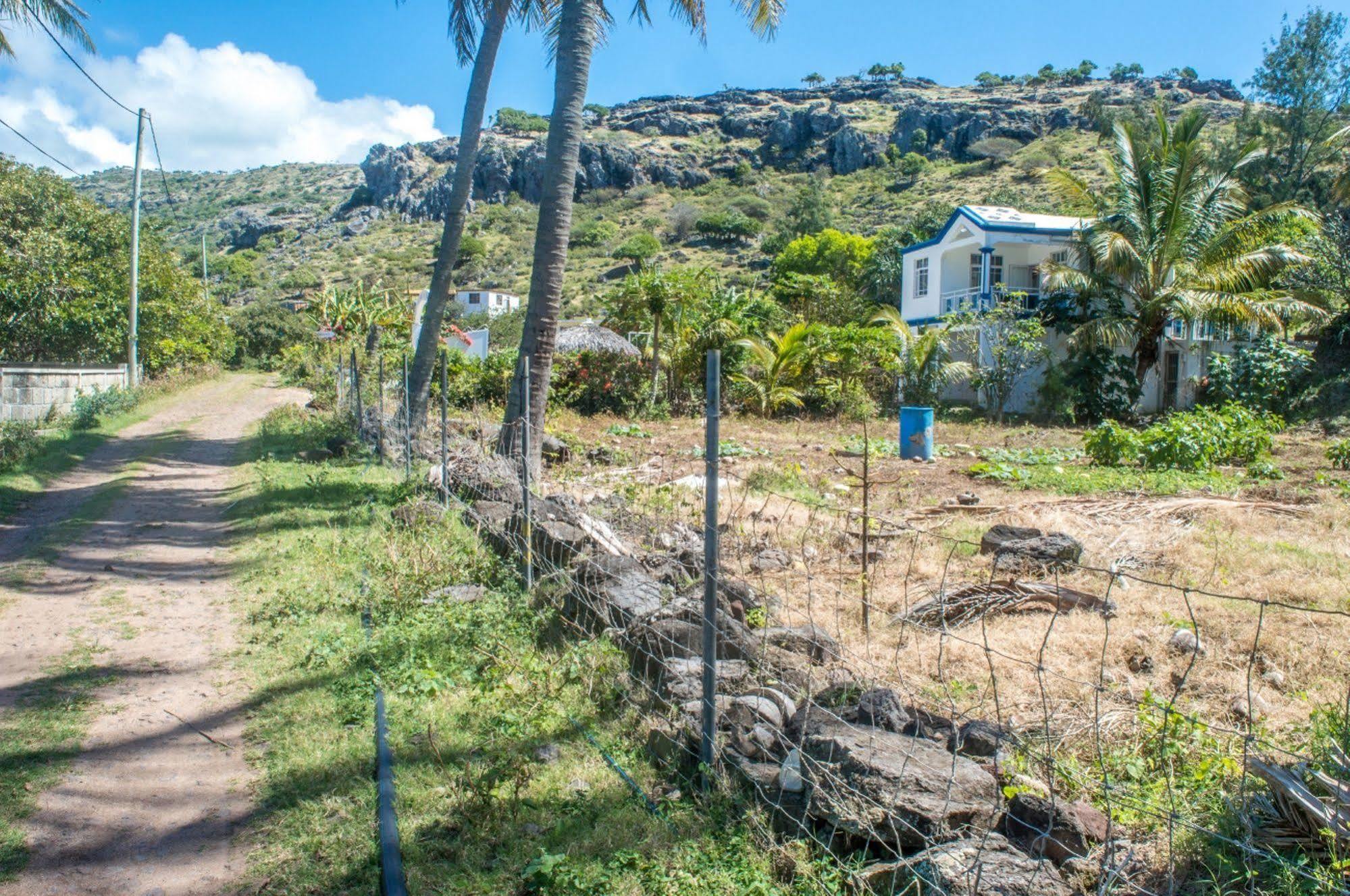 Guest house La Allamanda Gravier
