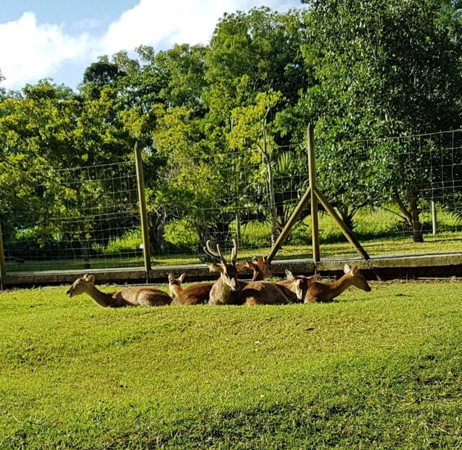 Hotel Dzama Grand Baie