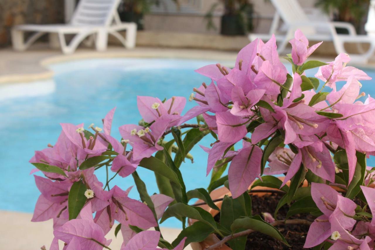Bed & Breakfast Le Lotus Grand Baie