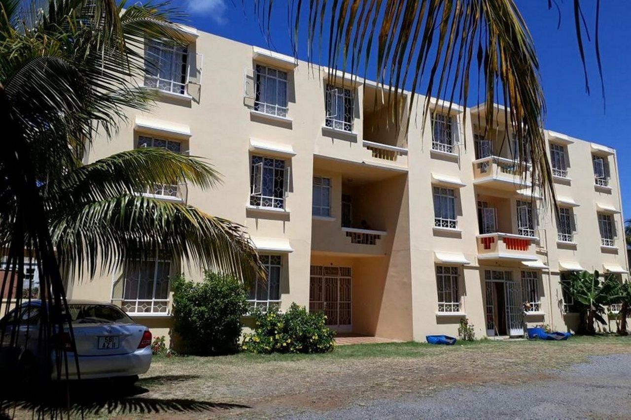 Allamanda - 100m Bain Boeuf