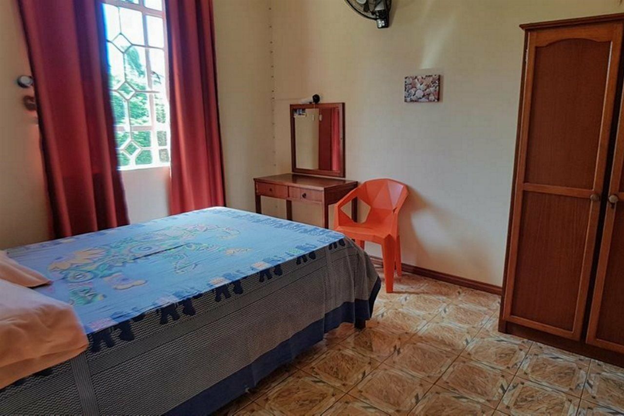 Apartment Allamanda - 100m *