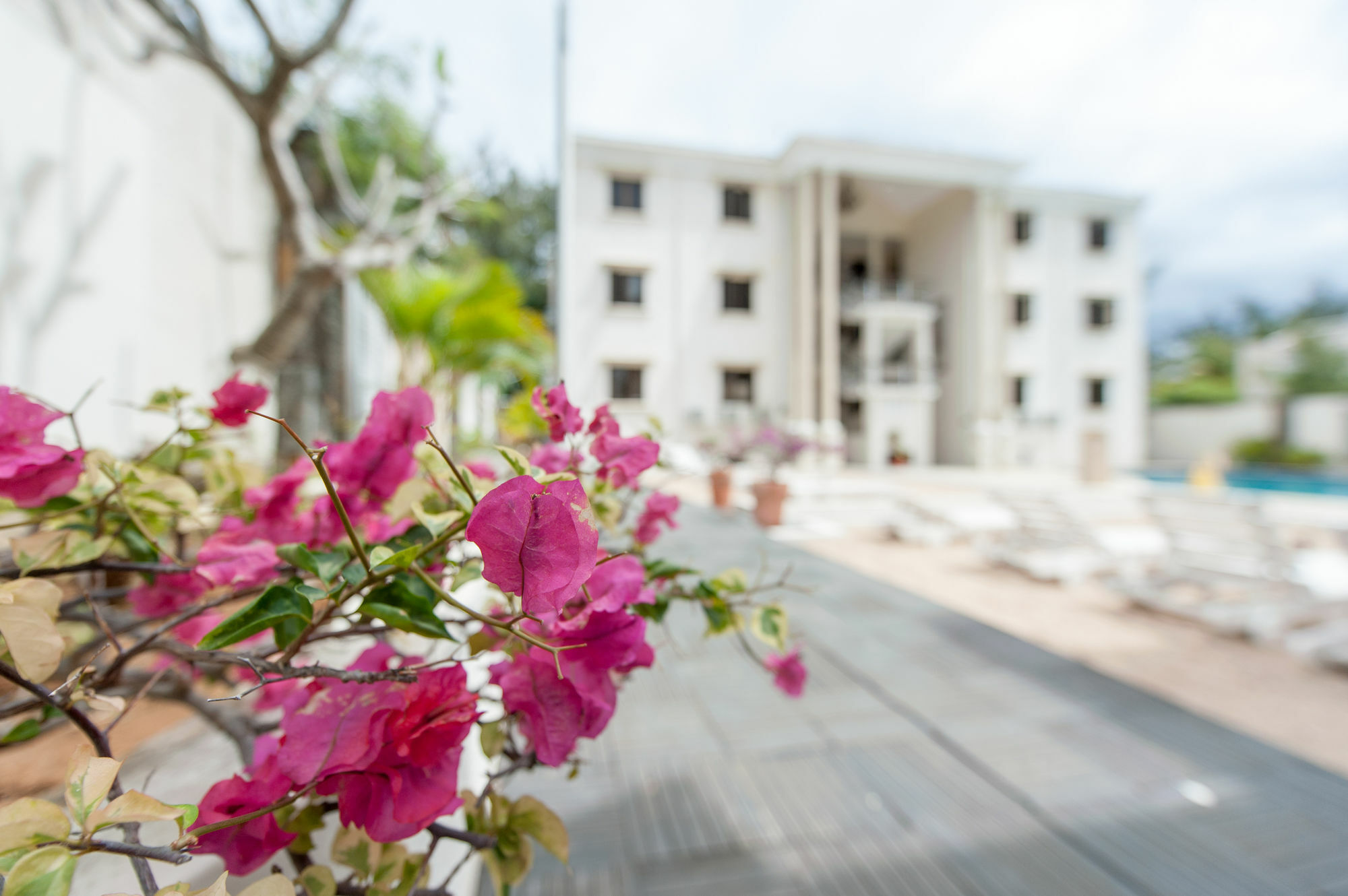 Hotel Gosun 3*