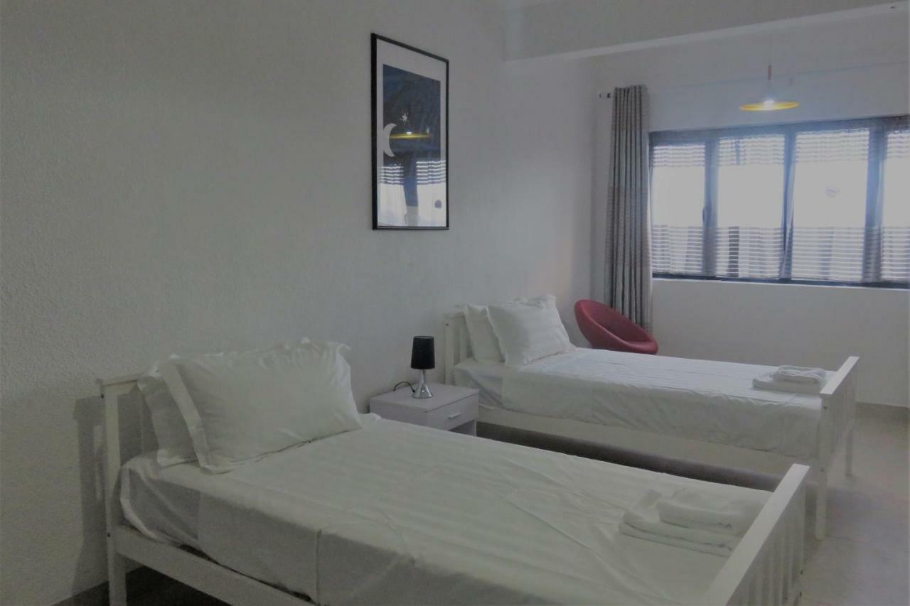 Ibis Tourist 1