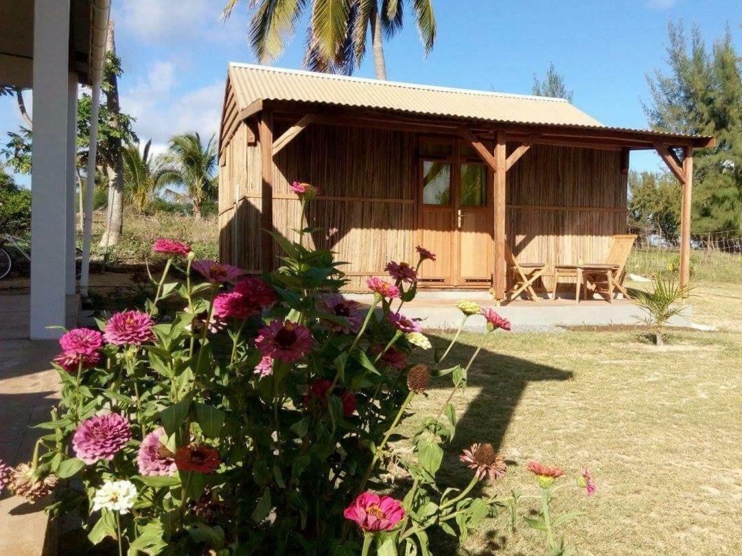 Guest house House