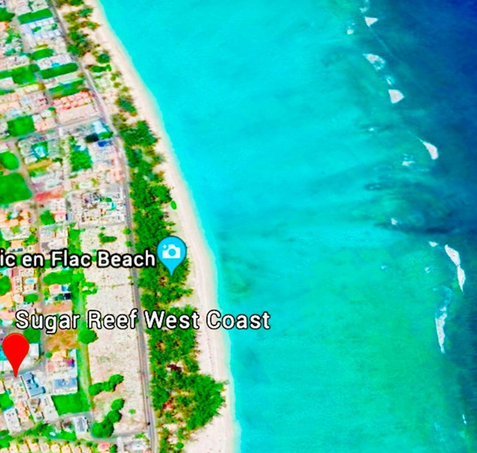 Apartment Sugar Reef West Coast *