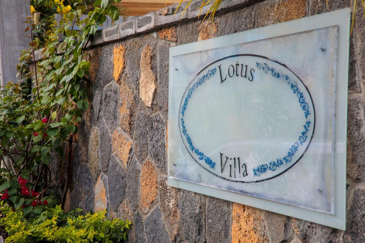 Lotus Apartment
