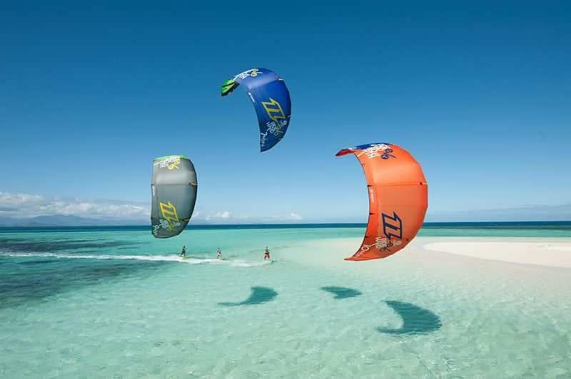 Seaview Kite -