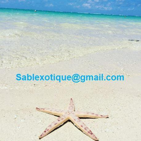 Sablexotique