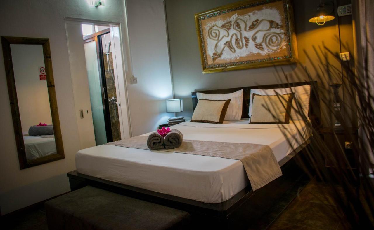 Villavague Guest house Albion