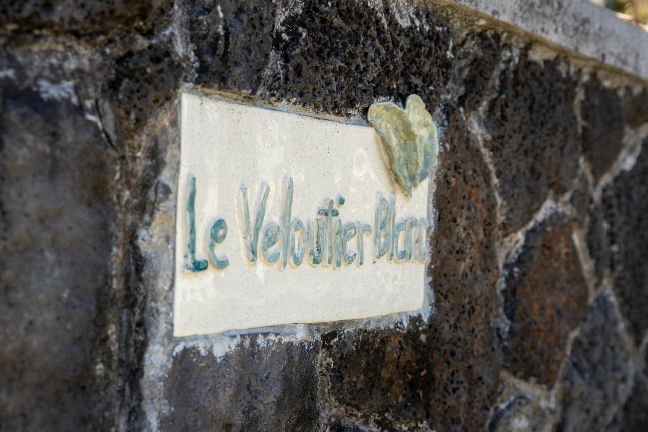 Veloutier Blanc Homes By Horizon Holidays *