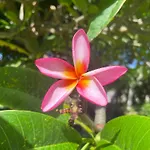 Anahita Golf Resort & Spa