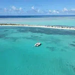 Catamaran Z\'Ile Cruise