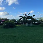 Greenyvilla
