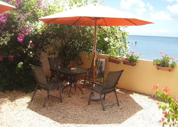 Le Cactus Guest House