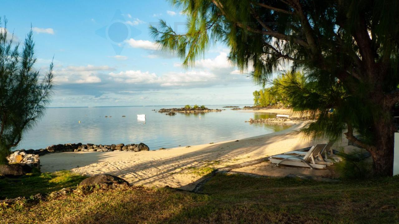 Paradise Point * Calodyne