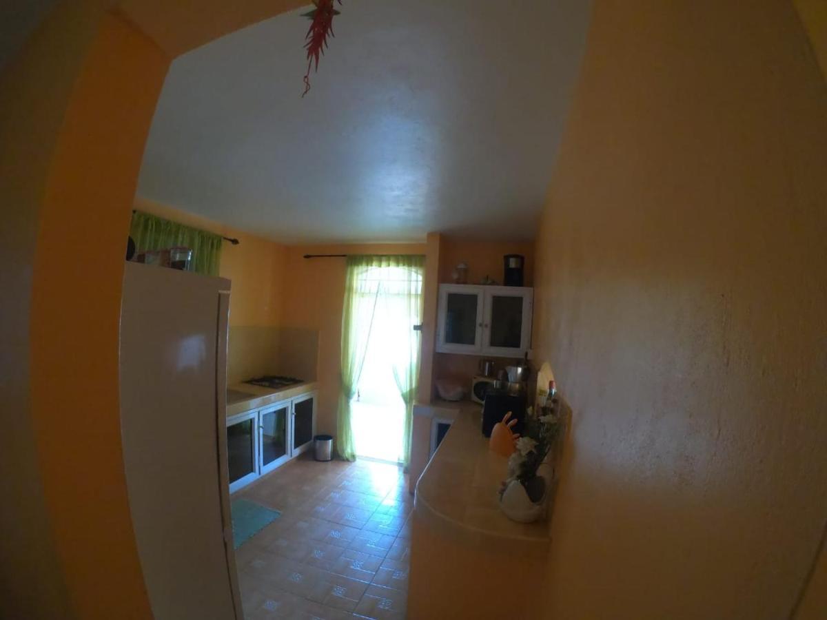 Apex Kite & Rooftop Garden Apartment