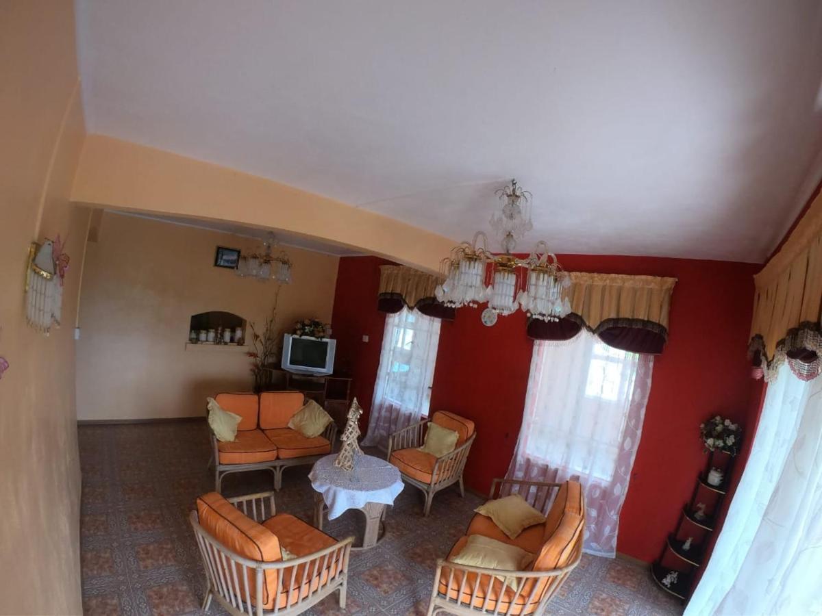 Apex Kite & Rooftop Garden Apartment