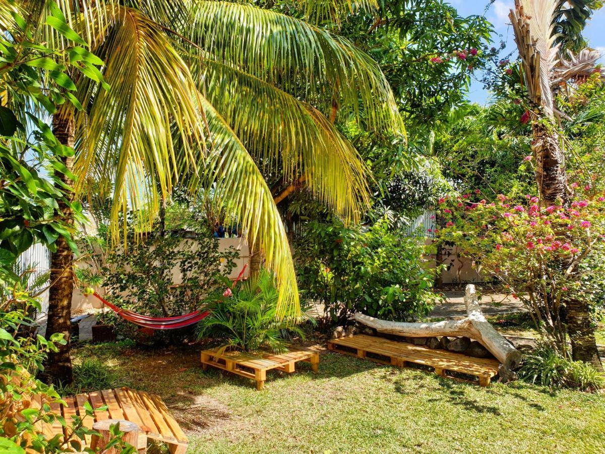 Surf House Guest house