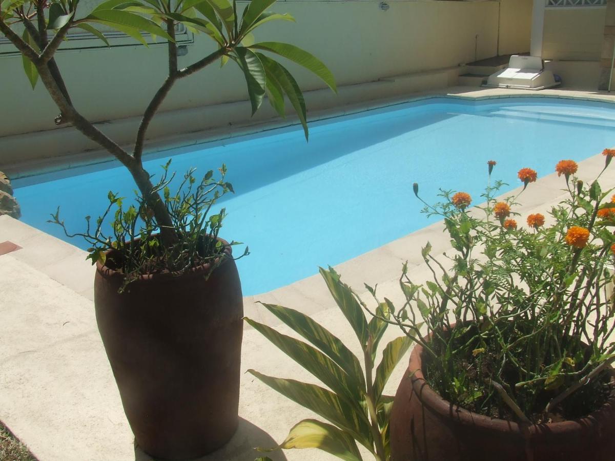 Reviva Apartment Blue Bay