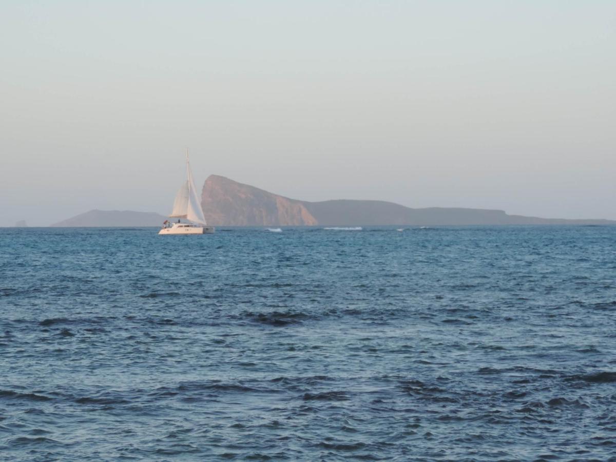 Sea-lily Beach