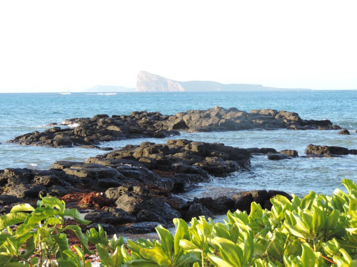 Sea-lily Beach Belle Mare