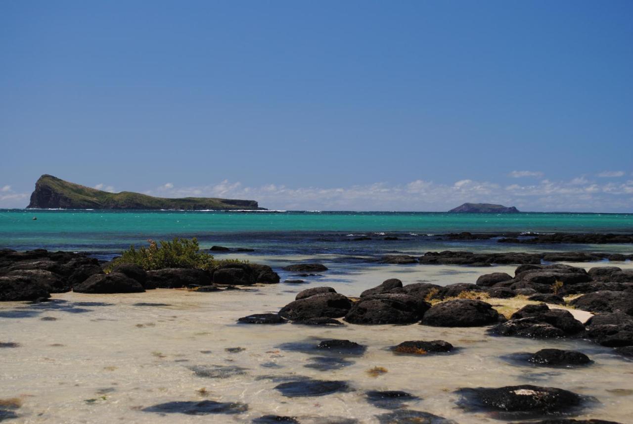 Sea-lily Beach