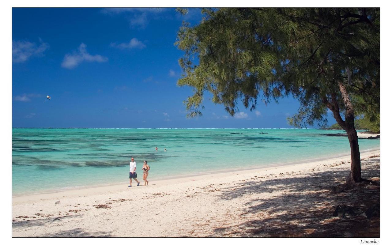 Villa Sea-lily Beach *