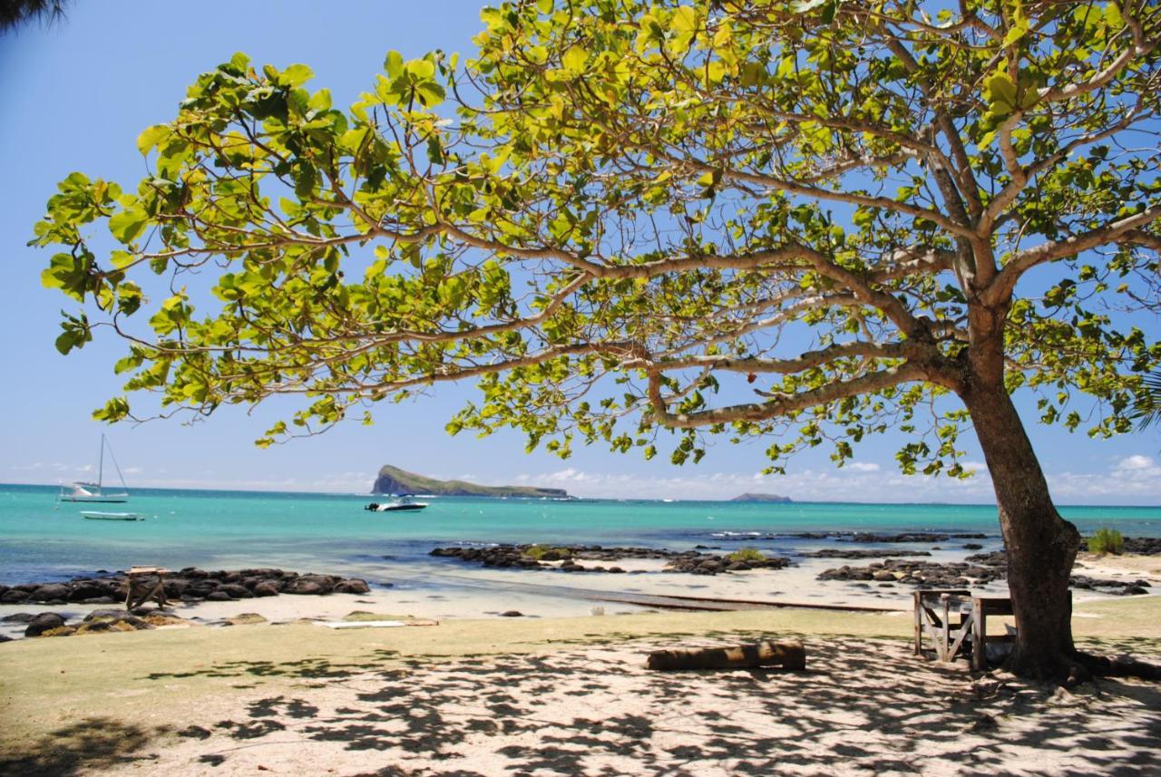 Villa Sea-lily Beach *