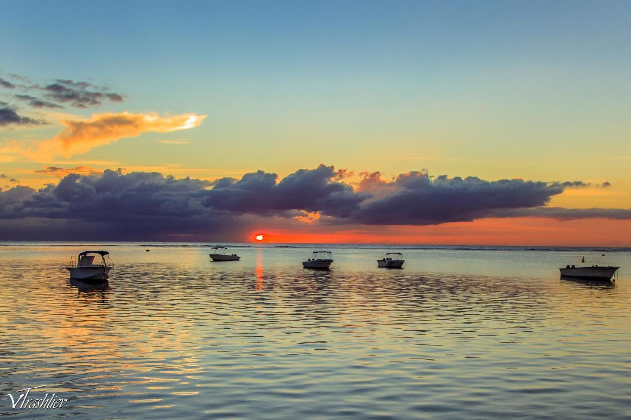 Sea-lily Beach