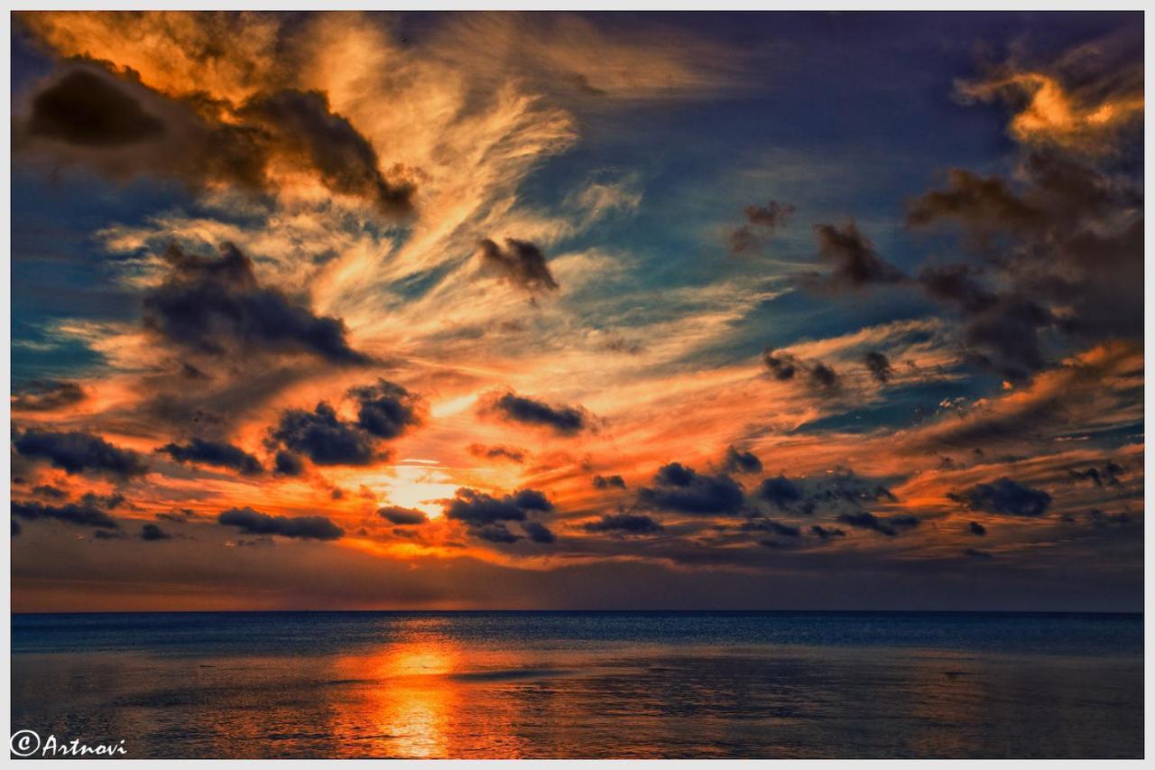 Sea-lily Beach *