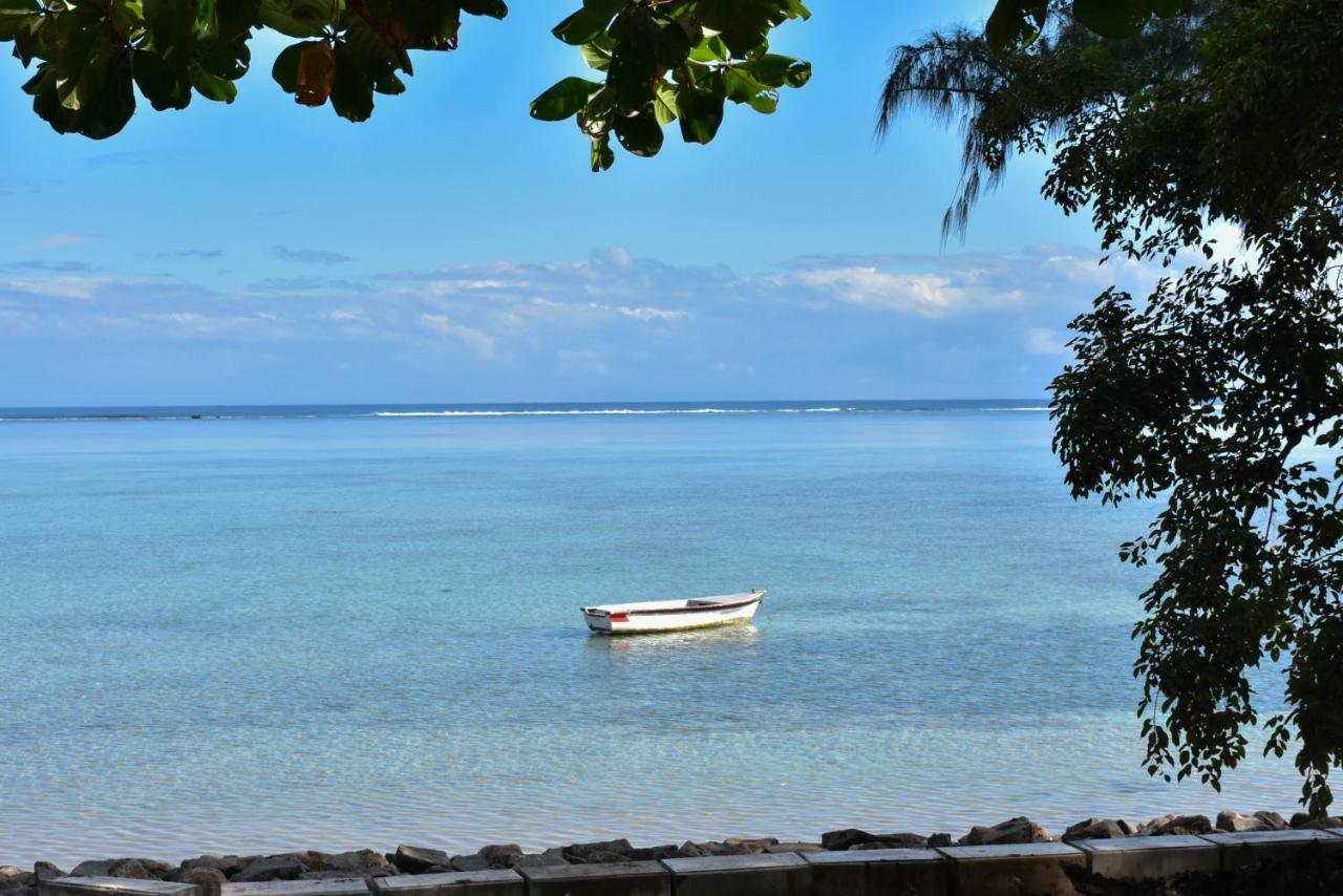 Sea-lily Beach *